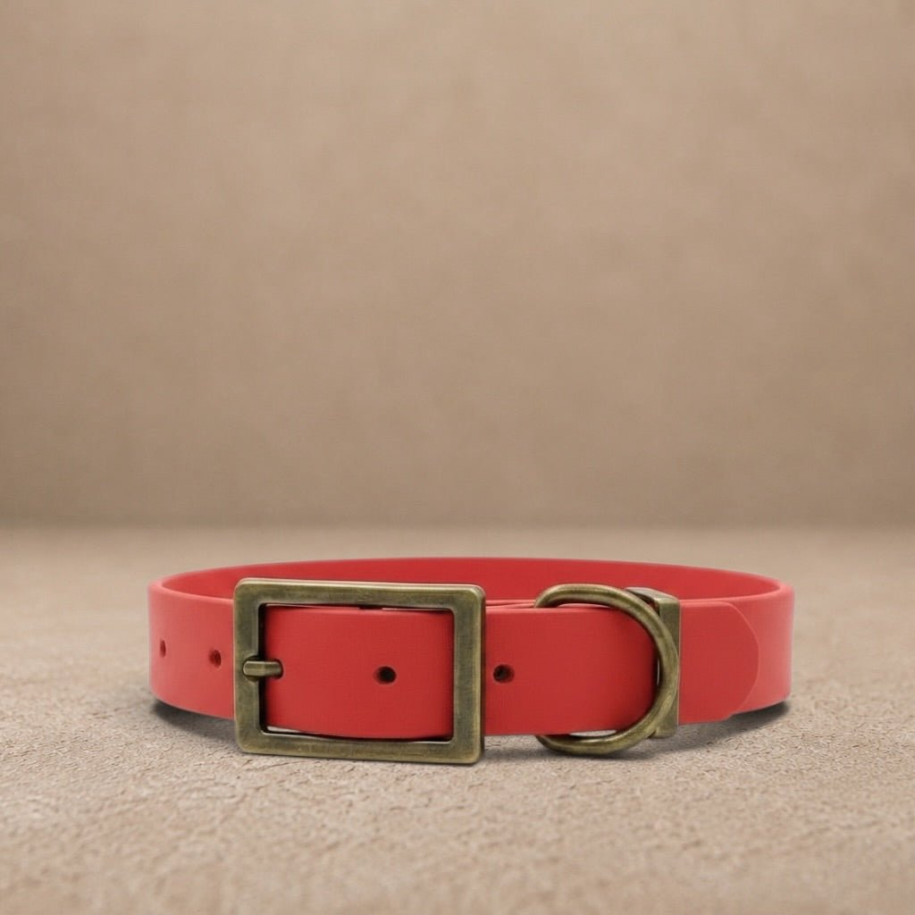 Red Waterproof Biothane Buckle Dog Collar
