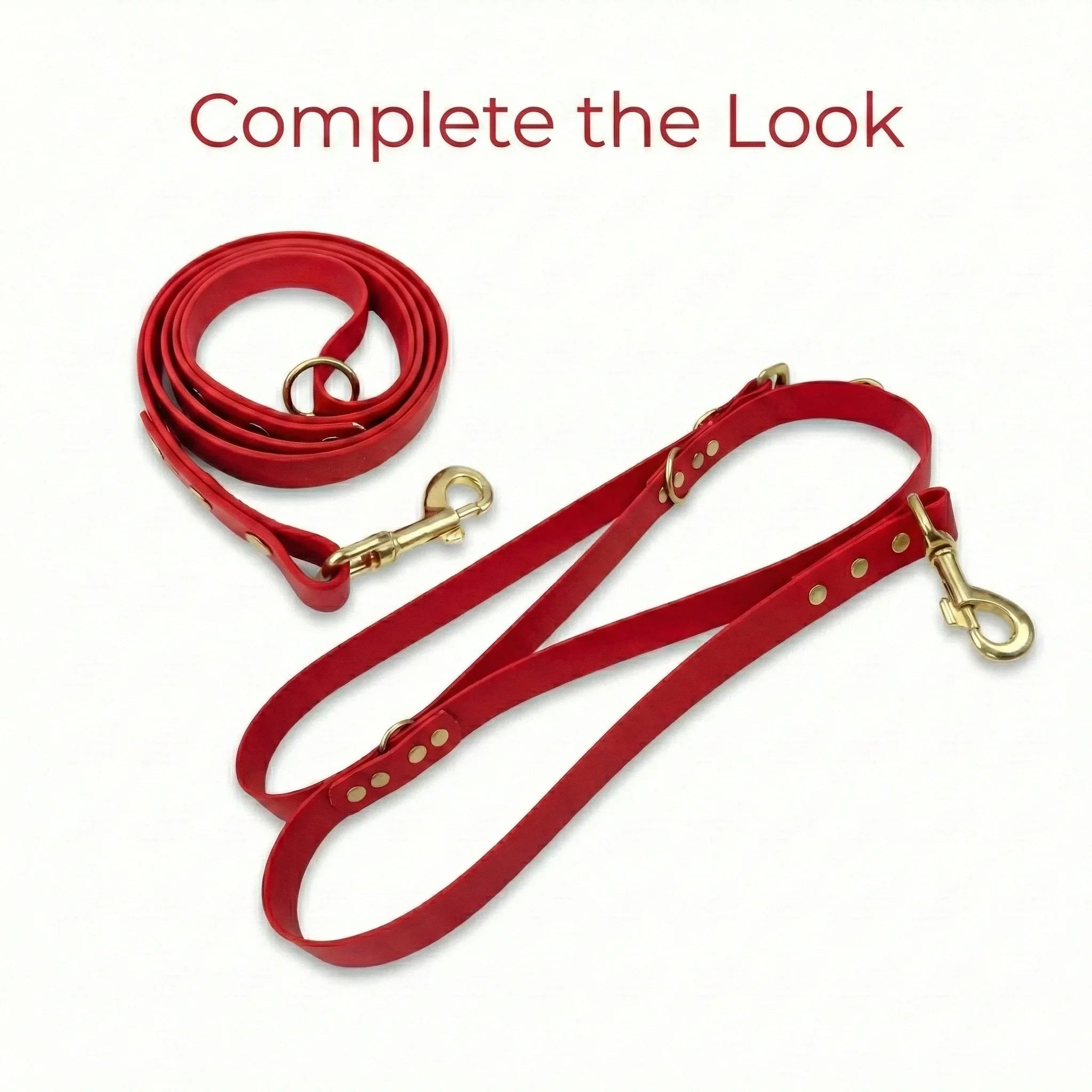 Red Waterproof Biothane Metal Clasp Dog Collar