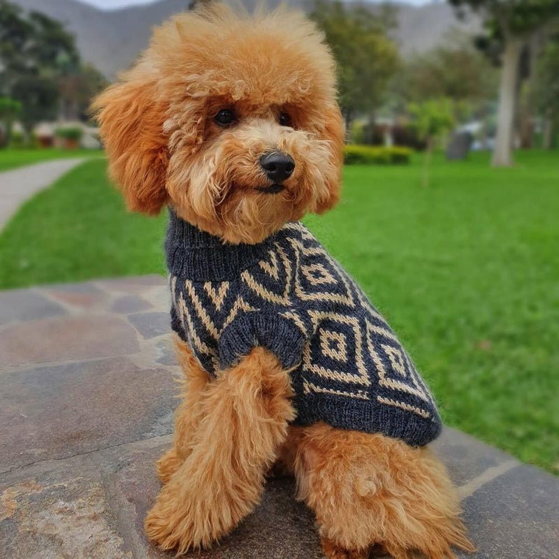 "Rhombus" Handmade Alpaca Wool Dog Jumper