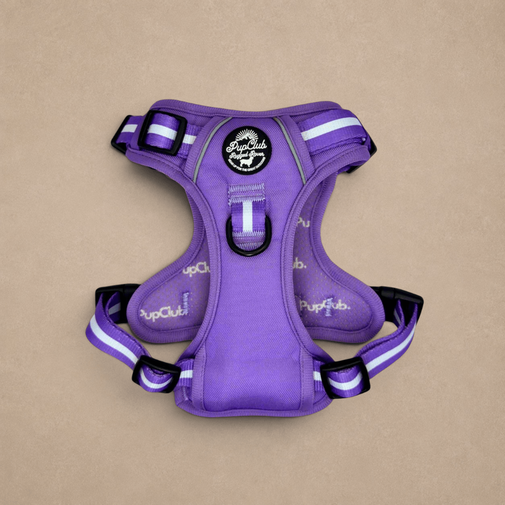 Rugged Rover™ Harness - Lilac Blush