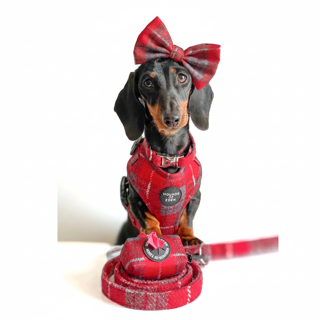 'Sammi' - Red & Grey Check Dog Harness