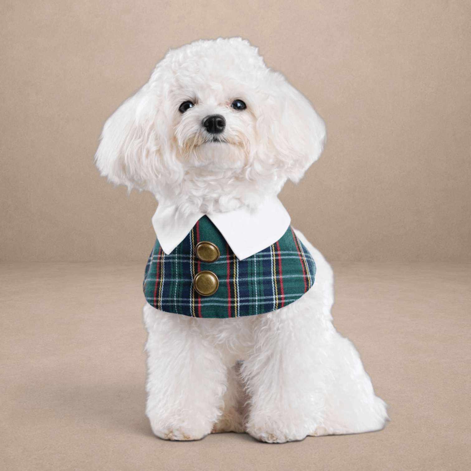 Scottish Heritage - St Andrews Bandana