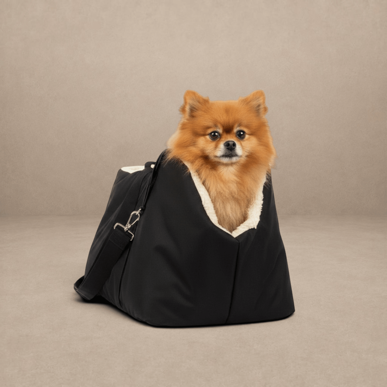 Soho Poms ALL Black Luxury Rainy Bear Dog Carrier with Zipper