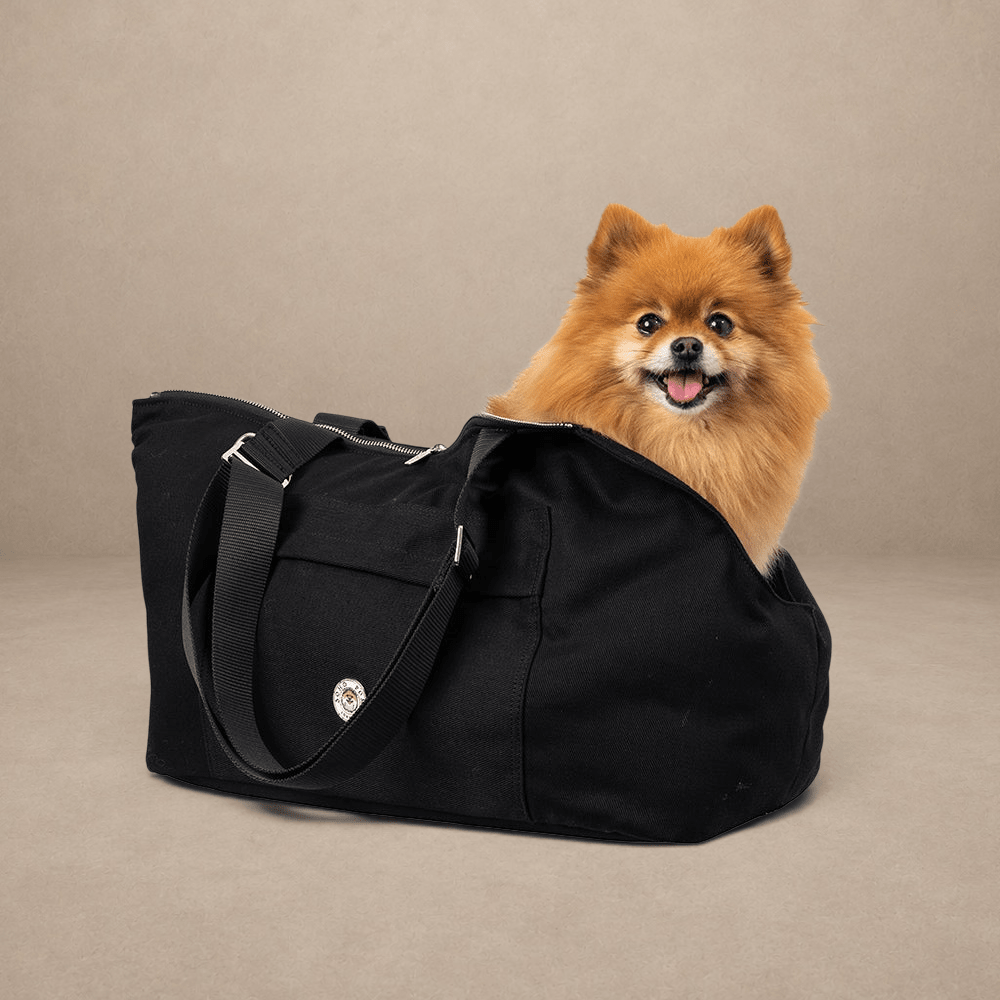 Soho Poms Berwick Pet Carrier - Urban Ink- Ideal for Dogs & Cats