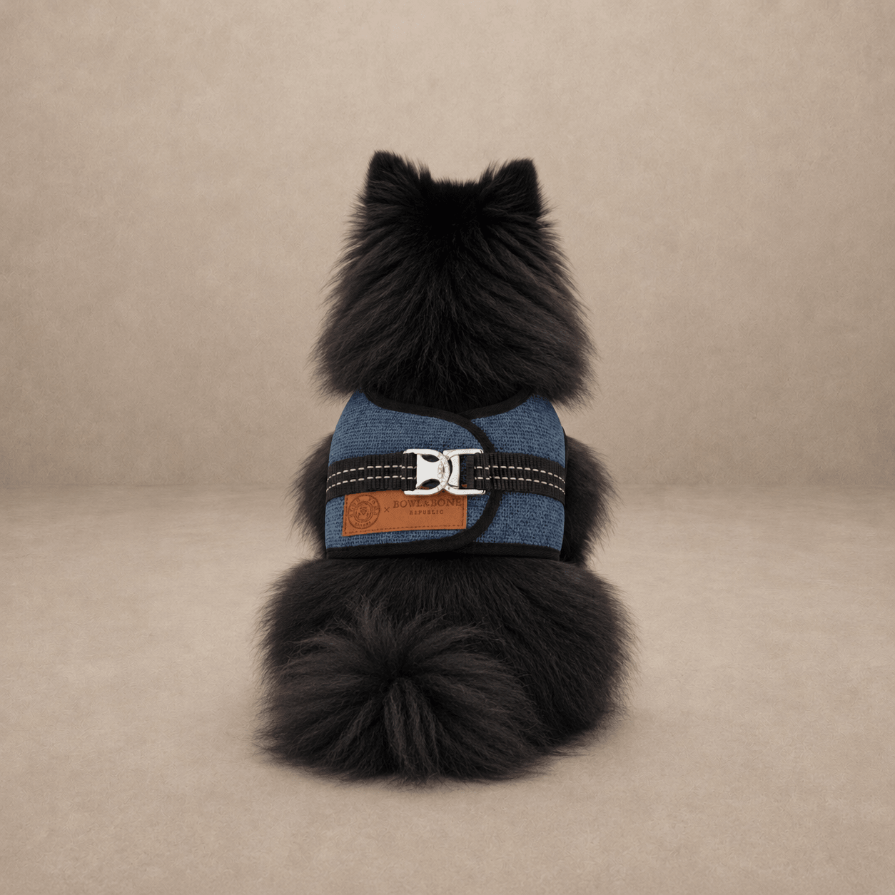 Soho Poms x Bowl & Bone Republic Mayfair Harness - Blue