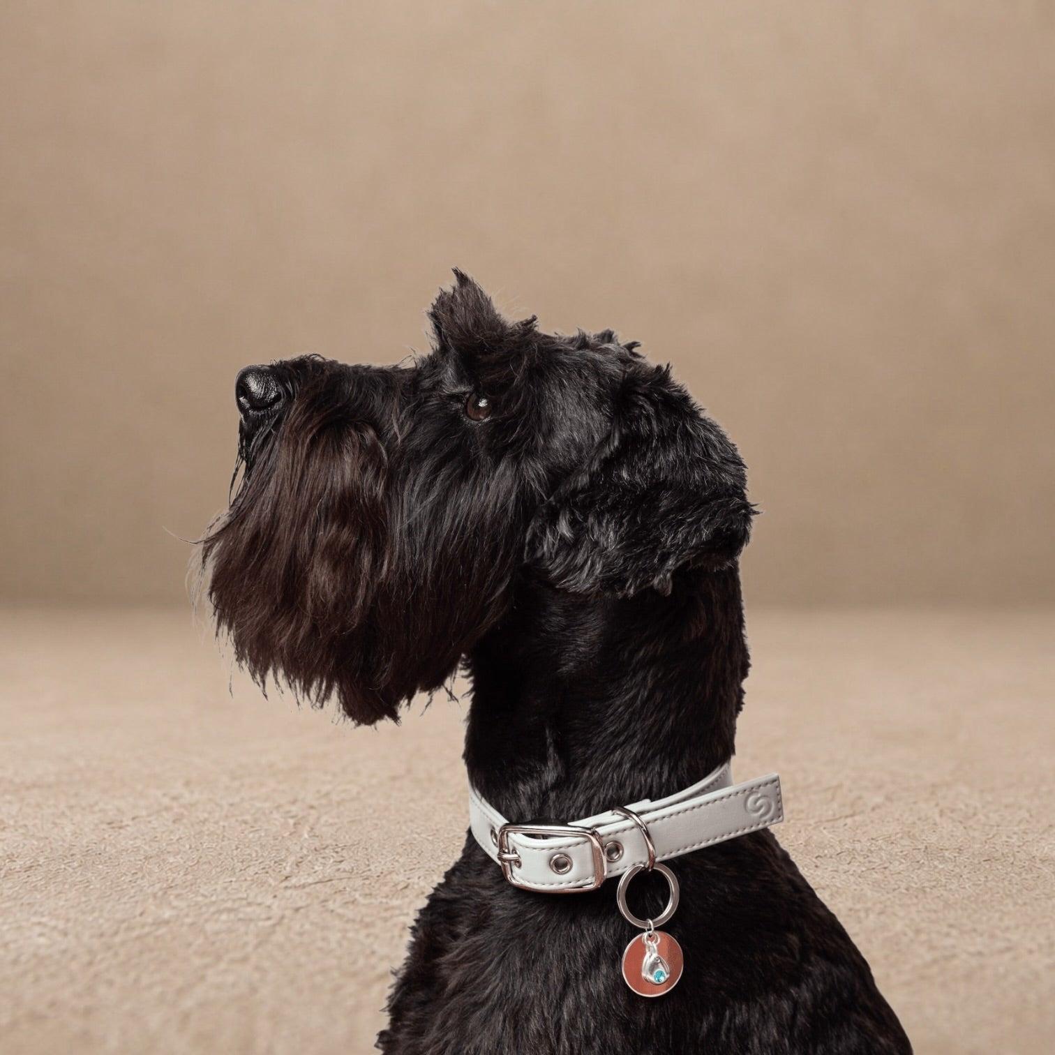 Sterling silver birthstone collar charm