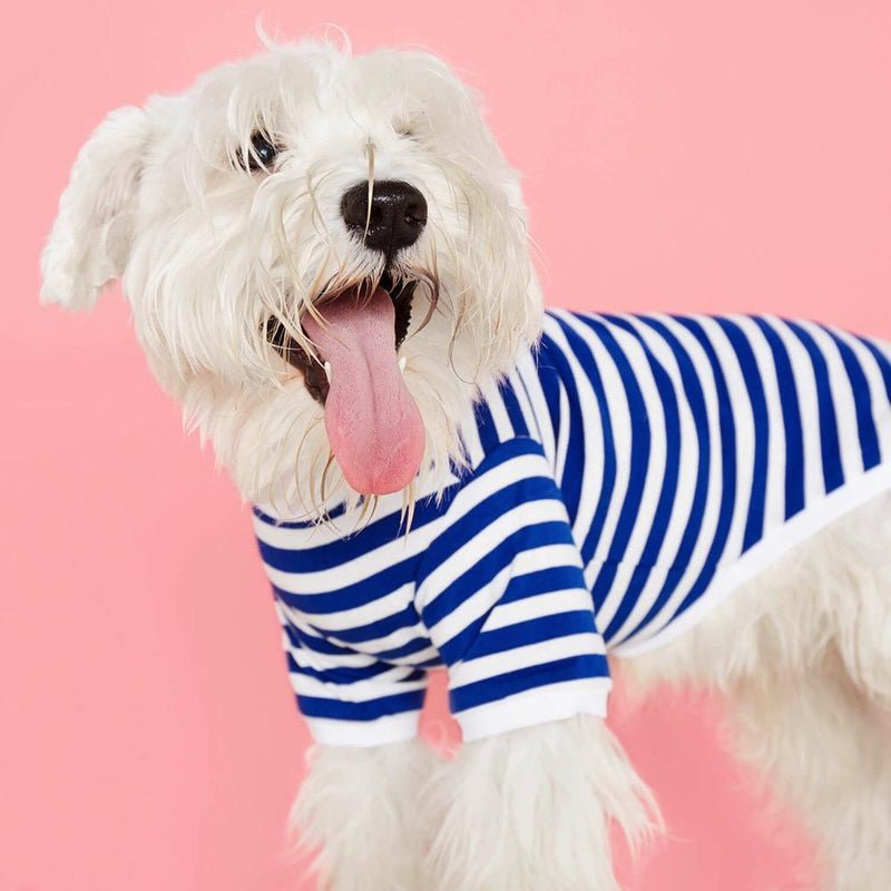 Striped T-Shirt - Portuguese Cotton