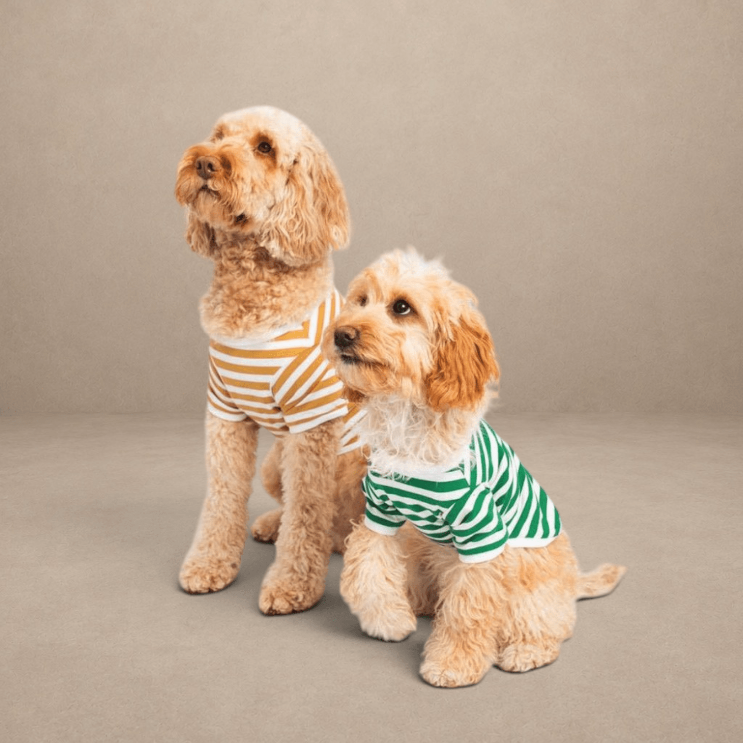 Striped T-Shirt - Portuguese Cotton