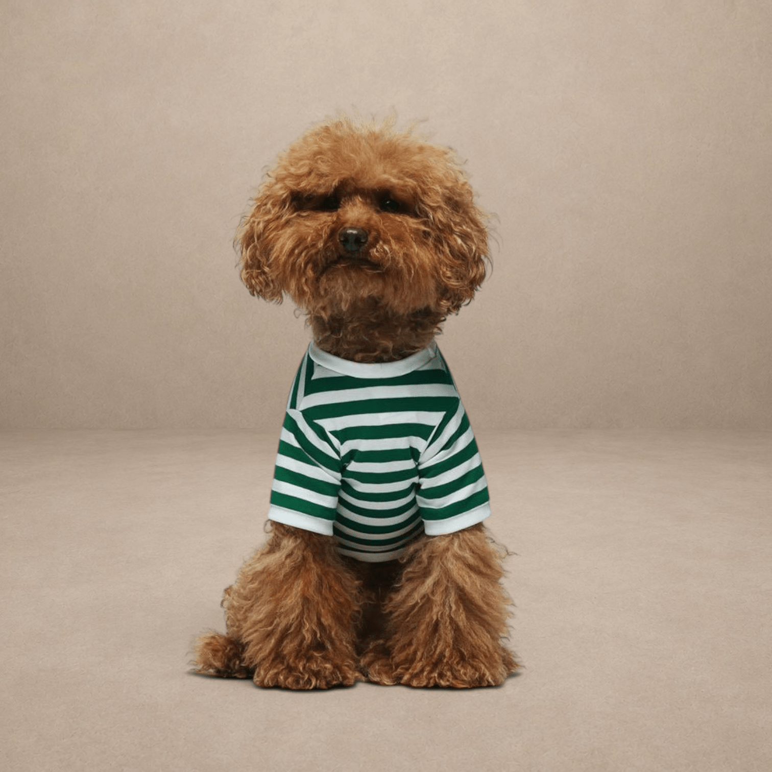 Striped T-Shirt - Portuguese Cotton