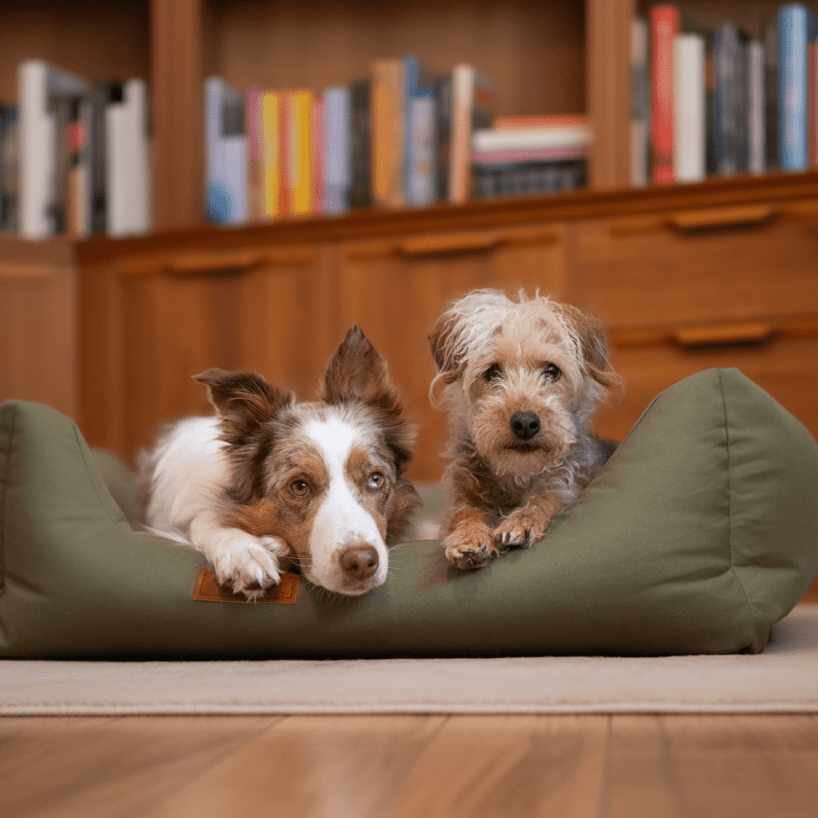 THE HENLEY | LUXURY WATERPROOF BED
