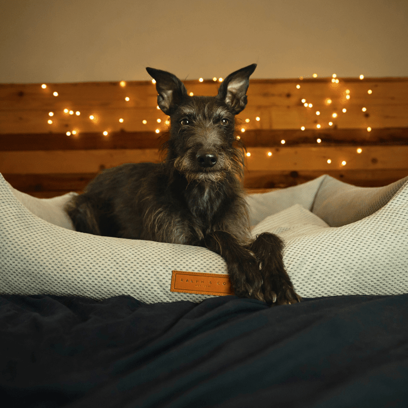 THE HIGHCLERE | LUXURY MEMORY FOAM BED