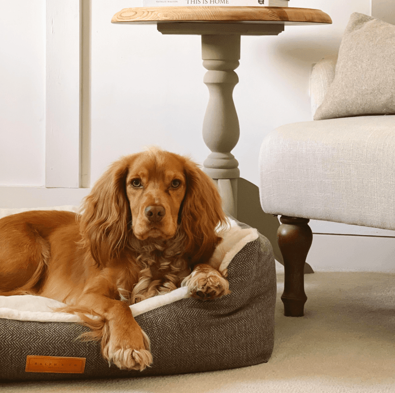 The Lincoln | Luxury Tweed Bed