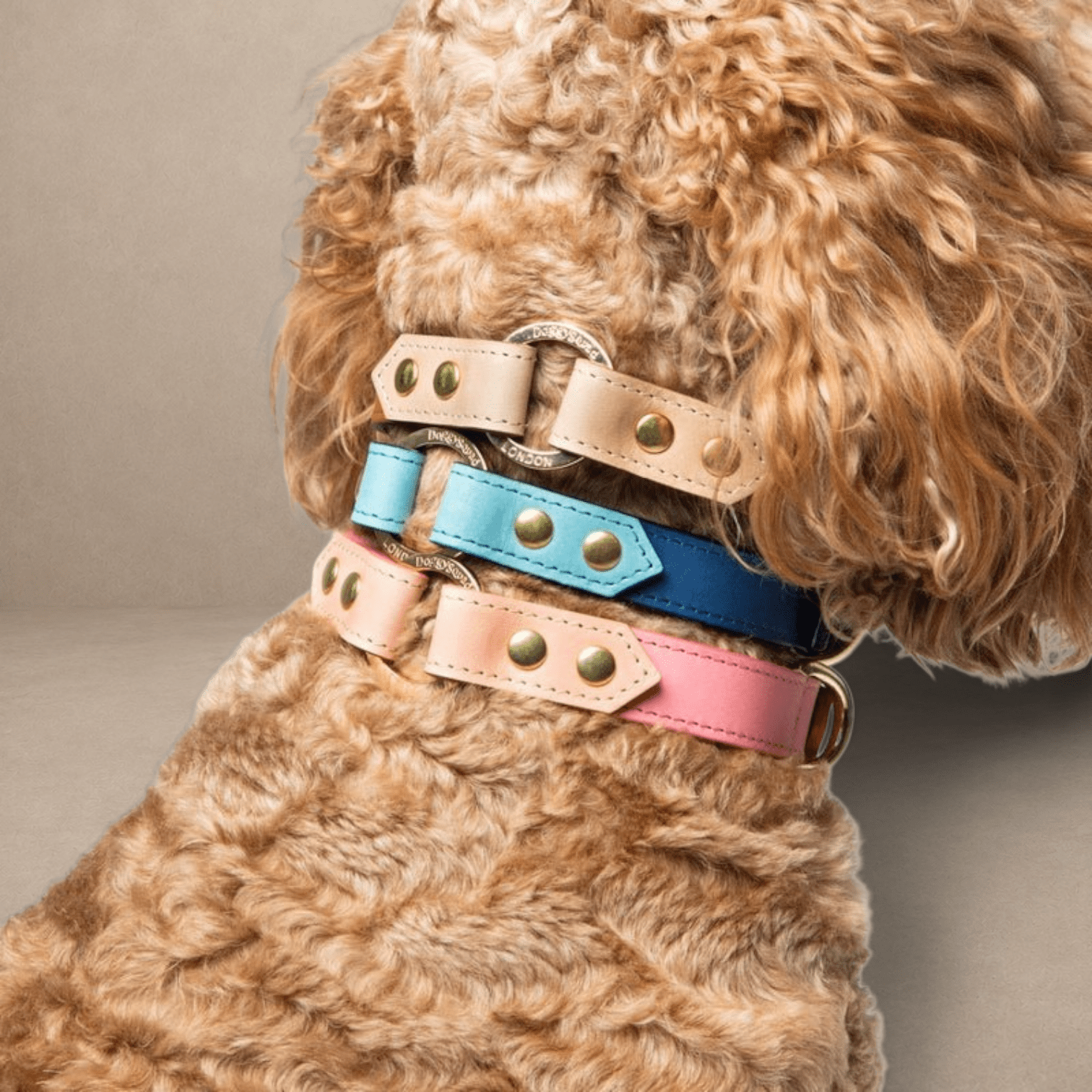 Timeless Handmade Leather Dog Collar