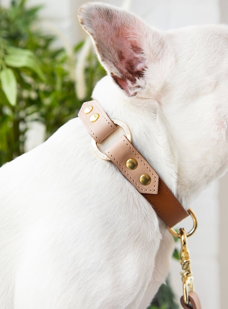 Timeless Handmade Leather Dog Collar