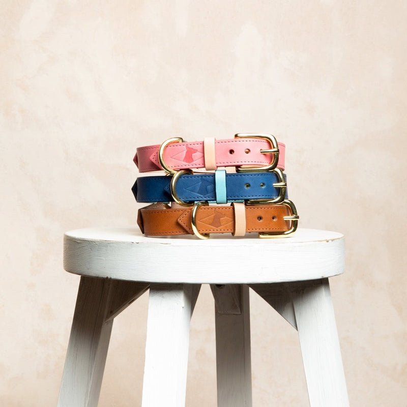 Timeless Handmade Leather Dog Collar