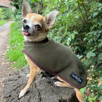 Tiny Toastie Water Repellent Fleece Dog Coat by My Pup and Me Hunter Green