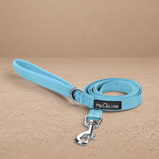 Tiny Trails Reflective 15mm Webbing Lead with Neoprene Handle Lining Baby Blue