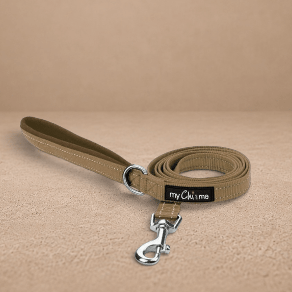 Tiny Trails Reflective 15mm Webbing Lead with Neoprene Handle Lining Caramel