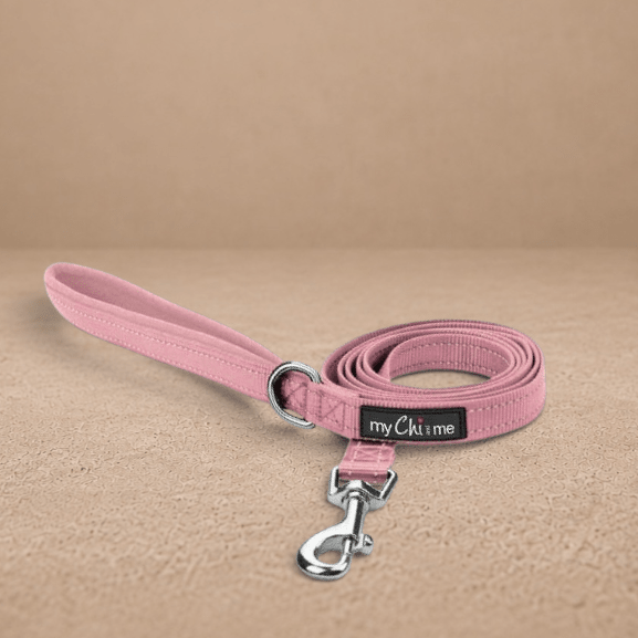 Tiny Trails Reflective 15mm Webbing Lead with Neoprene Handle Lining Pink