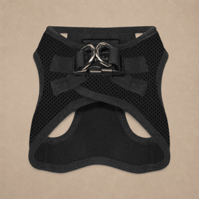 Tiny Trails Step In Air Mesh Puppy and Small Dog Harness Black