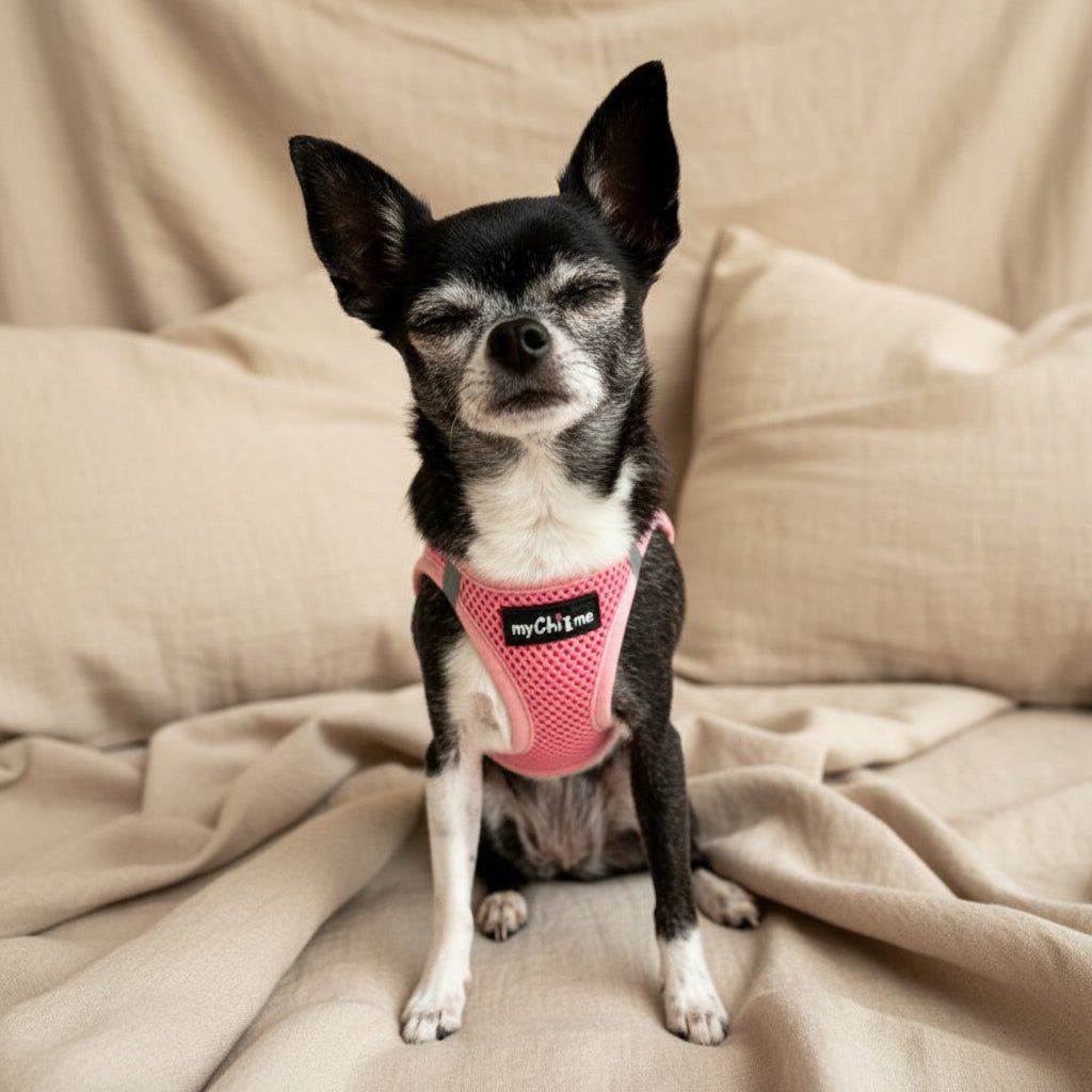 Tiny Trails Step In Air Mesh Puppy and Small Dog Harness Pink