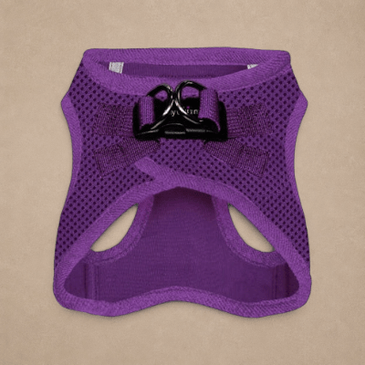 Tiny Trails Step In Air Mesh Puppy and Small Dog Harness Purple