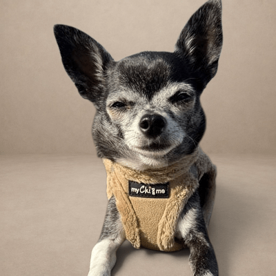 Tiny Trails Step In Soft Touch Suede Effect Faux Fur Lined Puppy and Small Dog Harness Caramel