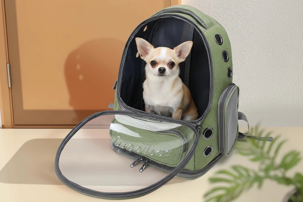 Transparent Pet Cat Carrier Bag Outdoor Travel Backpack for Cats Small Dogs Breathable Cat Carrying Bag Pet Supplies