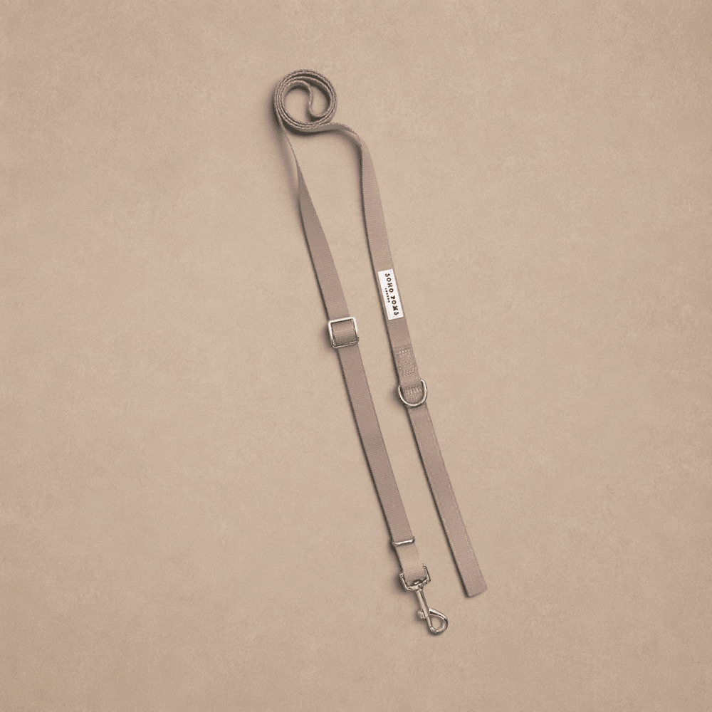 Vanilla Cream | Carnaby Extendable Lead