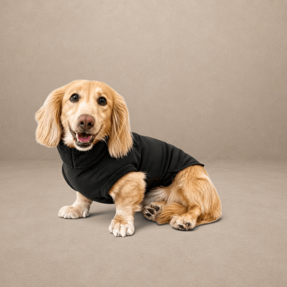 Waterproof Rainfleece Dog Coat - Standard Sizes, Ready Made