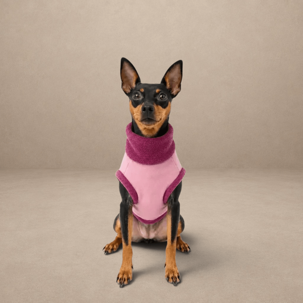Waterproof Rainfleece Dog Coat - Standard Sizes, Ready Made